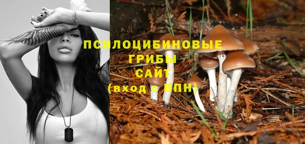 эйфоретик Белоозёрский